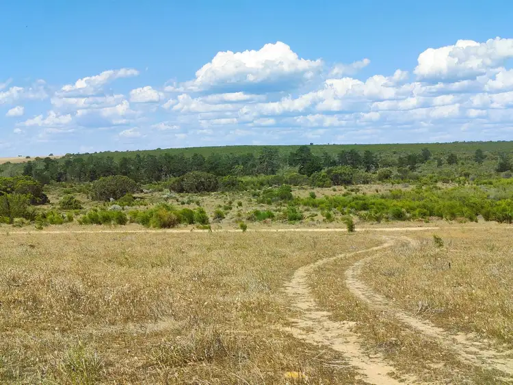 Seventh view of Homely rural property listing, Lot 1 Tamarisk Drive Gabbadah, Gingin WA 6503