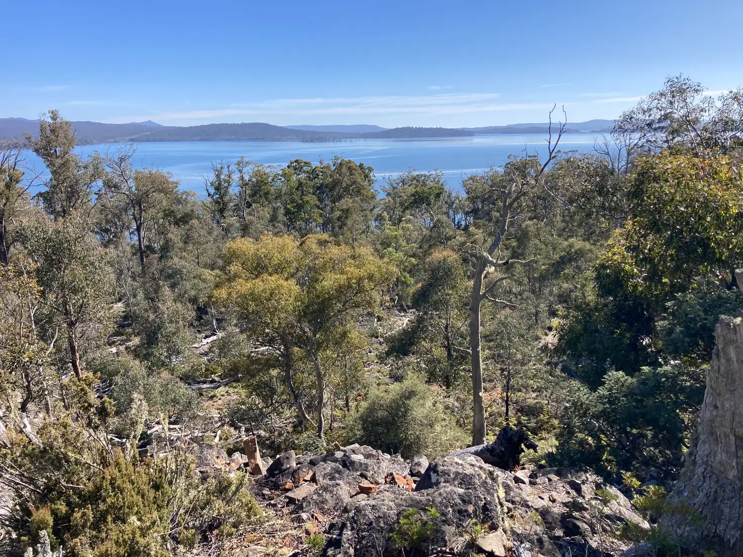 Main view of Homely rural property listing, 81 Arthurs Lake Road, Arthurs Lake TAS 7030