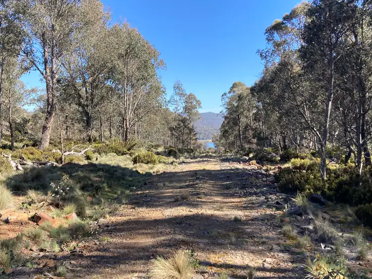 Second view of Homely rural property listing, 81 Arthurs Lake Road, Arthurs Lake TAS 7030
