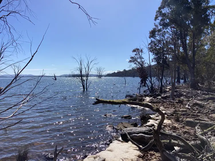 Fourth view of Homely rural property listing, 81 Arthurs Lake Road, Arthurs Lake TAS 7030