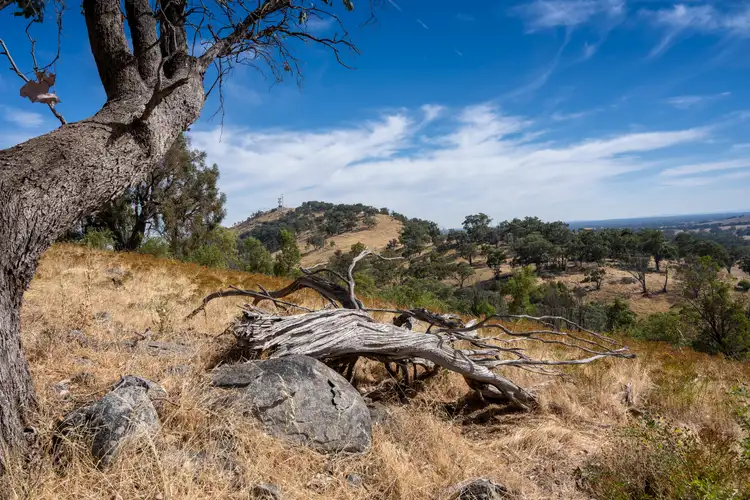 Seventh view of Homely rural property listing, CA21A Long Gully Road, Violet Town VIC 3669