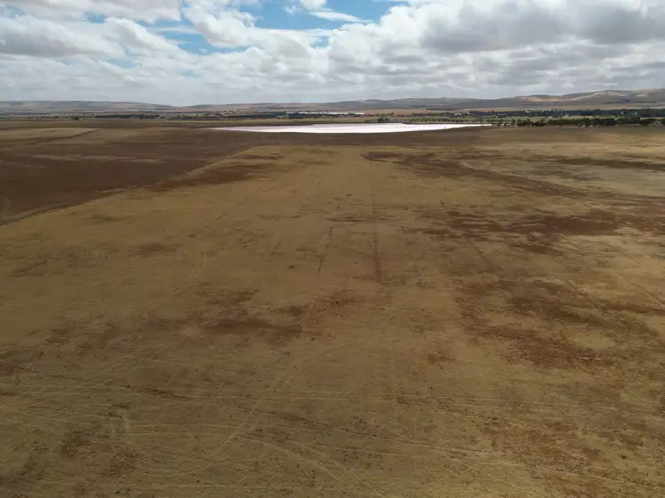 Main view of Homely rural property listing, Lot 11 Elix Road, Snowtown SA 5520
