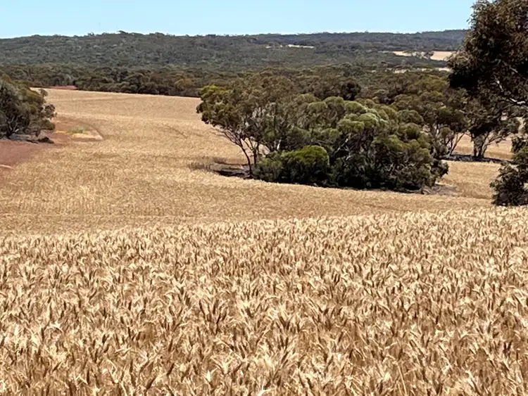 Third view of Homely rural property listing, . Under Offer, Wongan Hills WA 6603