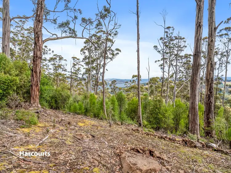 Lot 1 Lloyds Road, Franklin TAS 7113