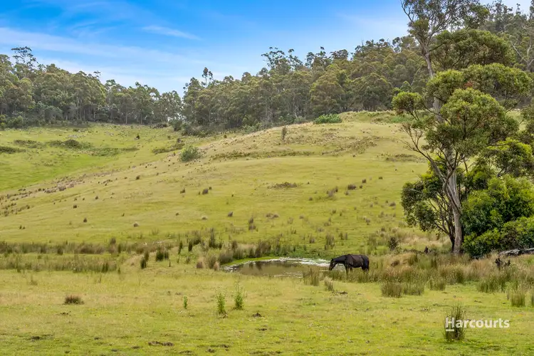 Fifth view of Homely house listing, 291 Grices Road, Tea Tree TAS 7017