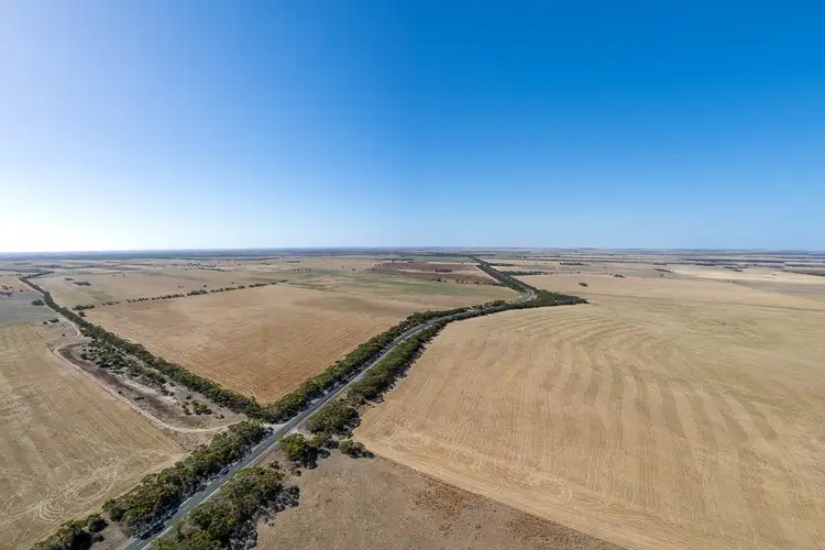 Fifth view of Homely rural property listing, 92 Tynan Road, Sherlock SA 5301