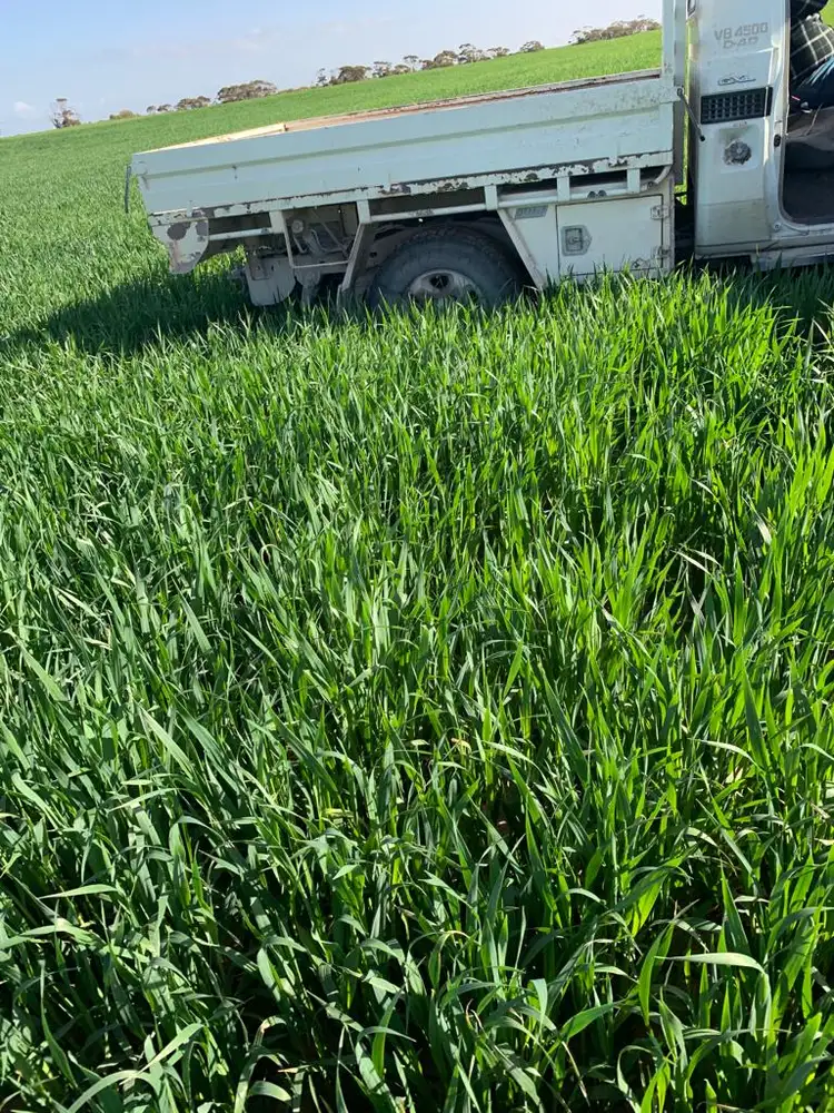 Seventh view of Homely rural property listing, 92 Tynan Road, Sherlock SA 5301