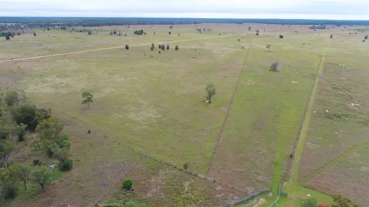 Fifth view of Homely rural property listing, Lilyvale, 316 Lilyvale Road, Yuleba QLD 4427
