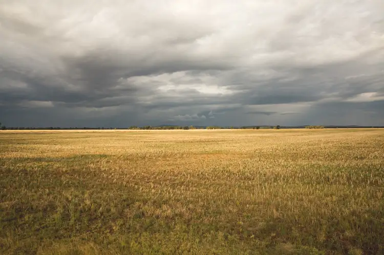 Sixth view of Homely rural property listing, . "Lilydale", West Wyalong NSW 2671