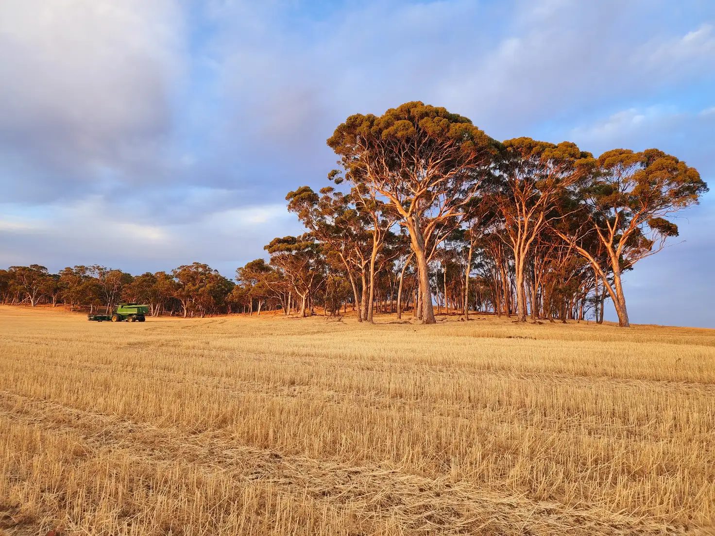 Main view of Homely rural property listing, . Dumbarton Road, Dumbarton WA 6566