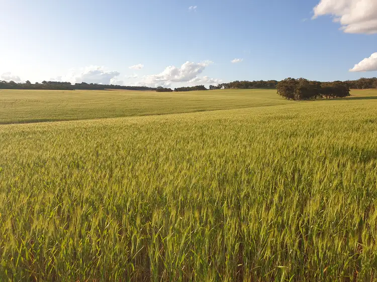 Third view of Homely rural property listing, . Dumbarton Road, Dumbarton WA 6566