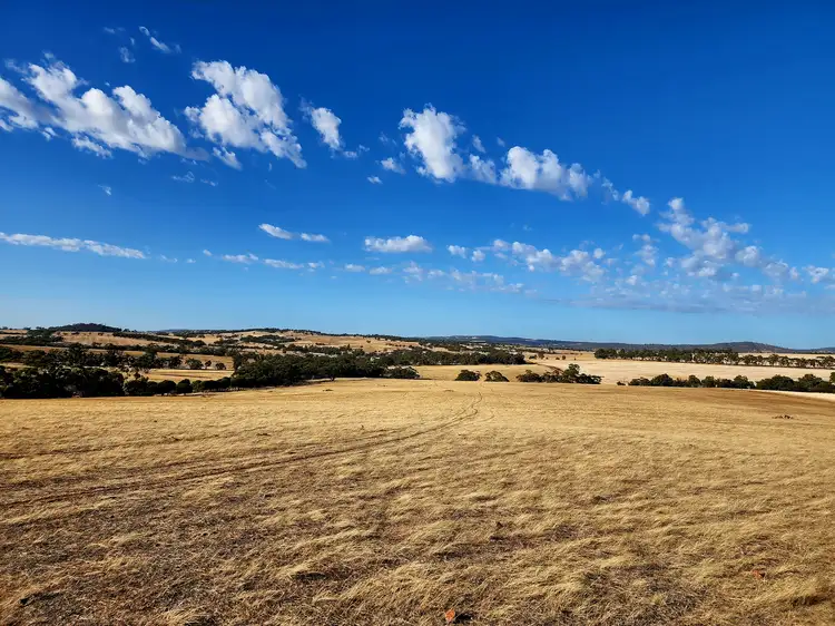 Fifth view of Homely rural property listing, . Dumbarton Road, Dumbarton WA 6566