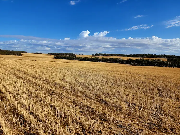 Sixth view of Homely rural property listing, . Dumbarton Road, Dumbarton WA 6566