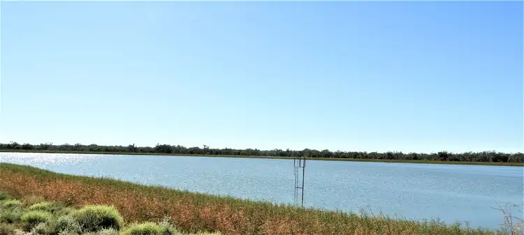 Second view of Homely rural property listing, 6966 Carinda Road, Warren NSW 2824