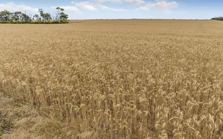 Fourth view of Homely rural property listing, 1085 Kerang Lalbert Road, Sandhill Lake VIC 3579