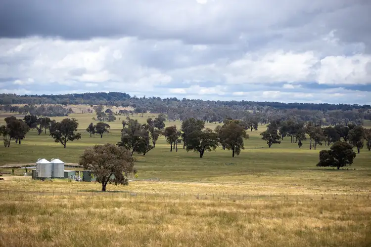 Third view of Homely rural property listing, 91 Gill Road, Walcha NSW 2354