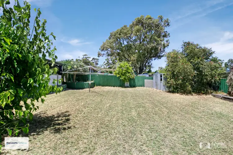 Sixth view of Homely house listing, 165 Camberwarra Drive, Craigie WA 6025