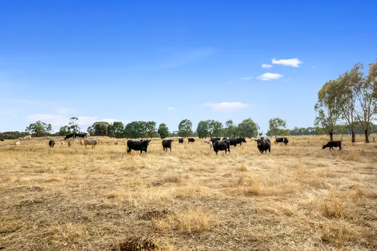 Lot 1/353 Coach Road, Benalla VIC 3672