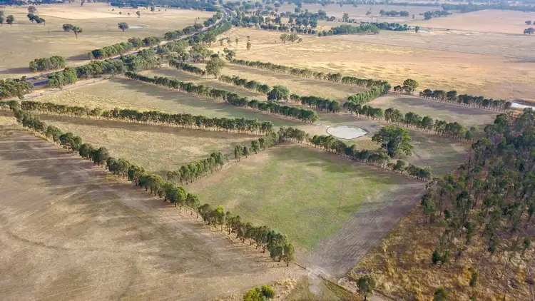 Fourth view of Homely rural property listing, Lot 1/353 Coach Road, Benalla VIC 3672