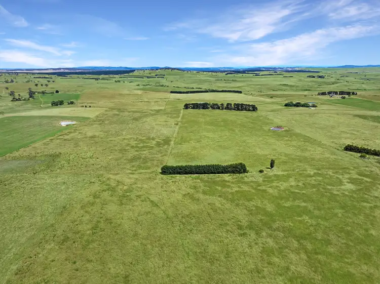 Fifth view of Homely rural property listing, 8153 Monaro Highway, Bombala NSW 2632
