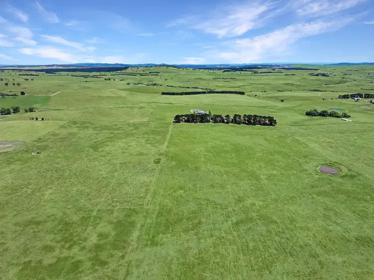 Sixth view of Homely rural property listing, 8153 Monaro Highway, Bombala NSW 2632