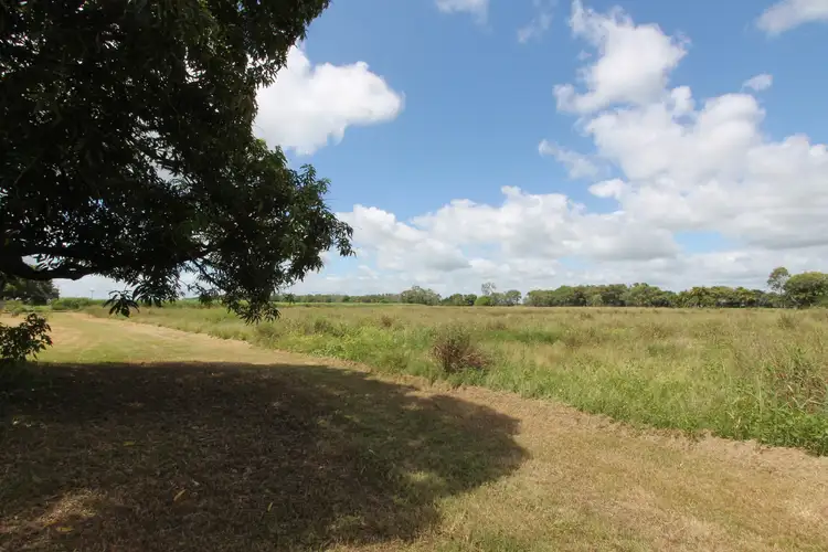 Fourth view of Homely house listing, 213 Jack Road, Colevale QLD 4808