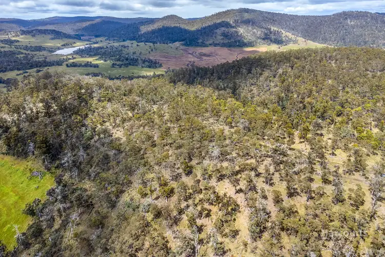 Third view of Homely land listing, 5008 Tasman Highway, Buckland TAS 7190