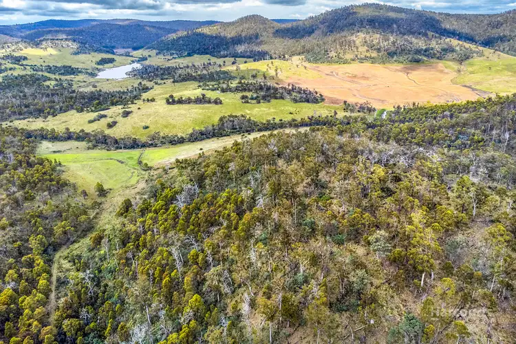 Fifth view of Homely land listing, 5008 Tasman Highway, Buckland TAS 7190