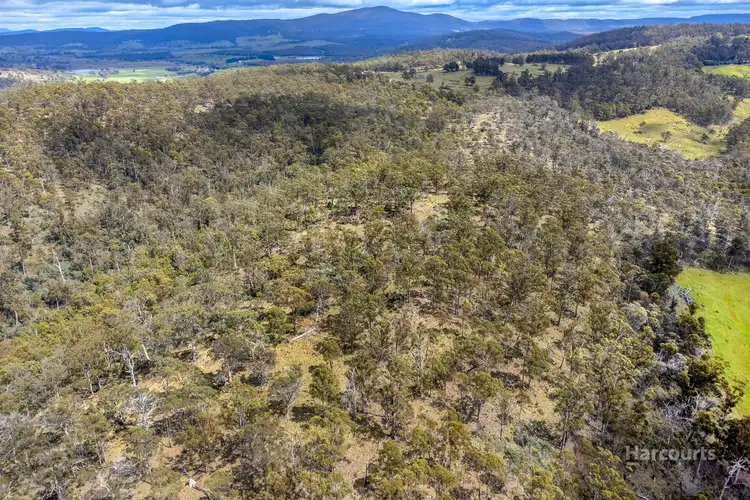 Sixth view of Homely land listing, 5008 Tasman Highway, Buckland TAS 7190