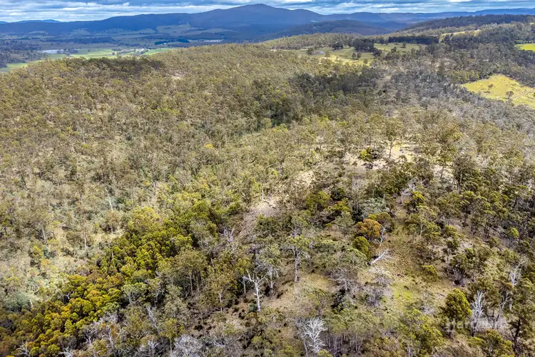 Seventh view of Homely land listing, 5008 Tasman Highway, Buckland TAS 7190