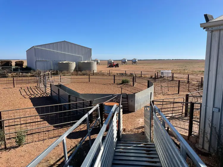 51124 EYRE HIGHWAY, White Well Corner SA 5690