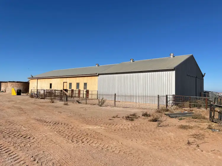 Fifth view of Homely rural property listing, 51124 EYRE HIGHWAY, White Well Corner SA 5690