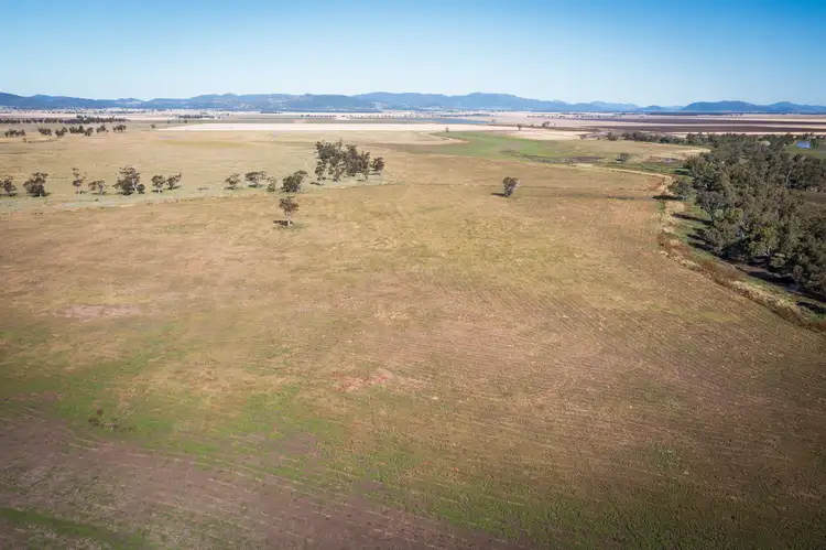 Sixth view of Homely rural property listing, 610 Redbank Road, Carroll NSW 2340