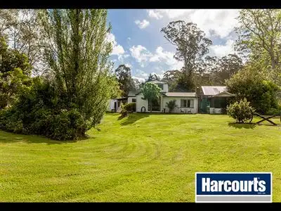 Sixth view of Homely rural property listing, 155 Beards Track, Shady Creek VIC 3821