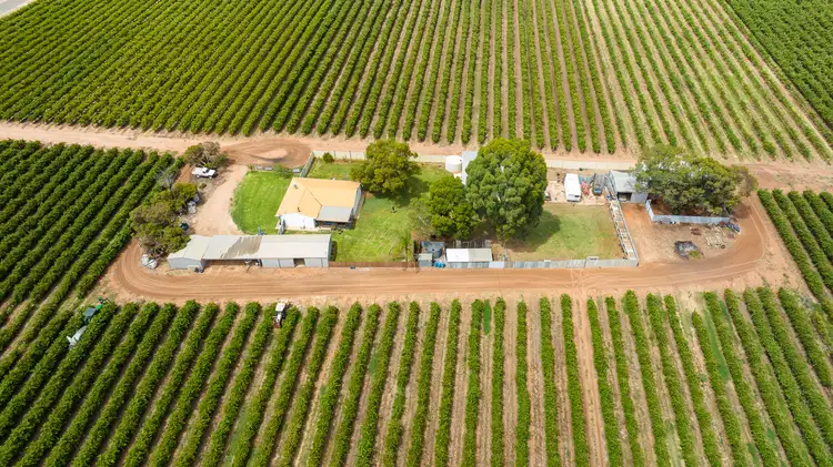 640 Chowilla Street, Renmark SA 5341