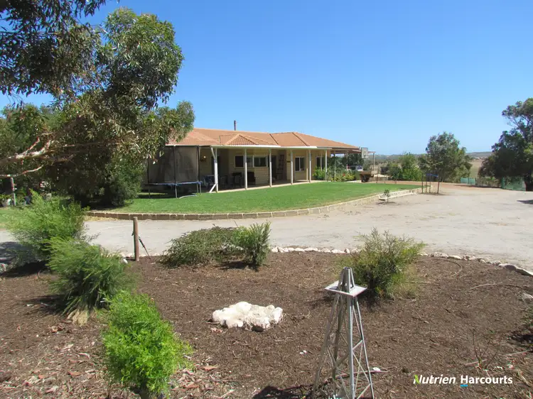 328 McCartney Road