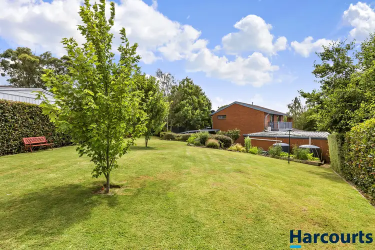 Main view of Homely house listing, 3 Carinda Court, Mount Clear VIC 3350