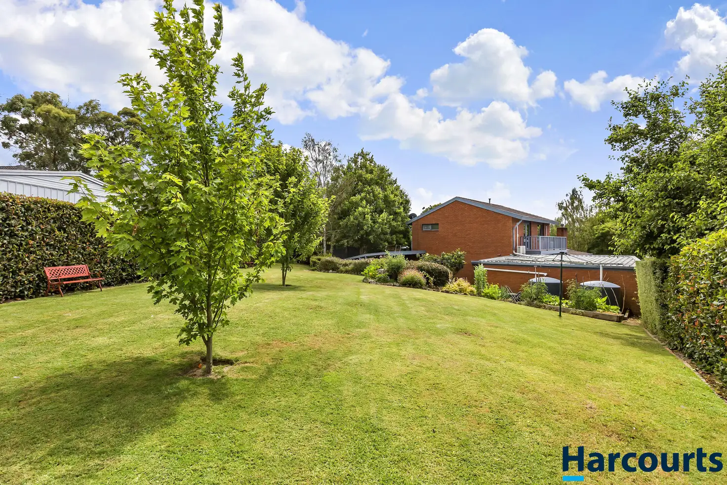 Main view of Homely house listing, 3 Carinda Court, Mount Clear VIC 3350