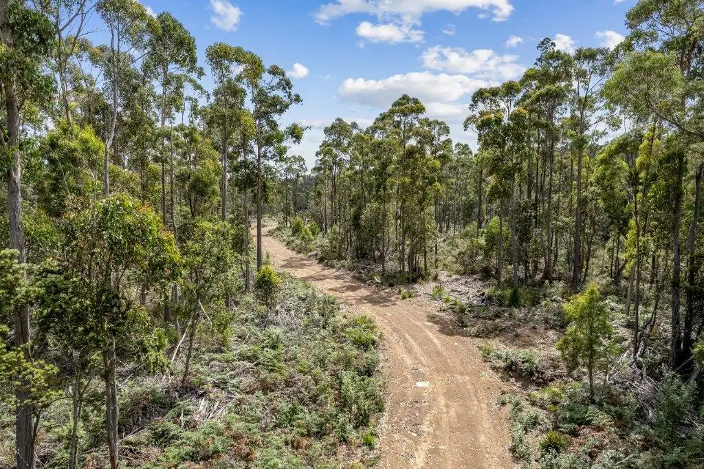 Main view of Homely rural property listing, 481 Priestleys Lane, Birralee TAS 7303