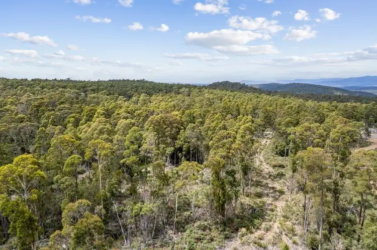 Third view of Homely rural property listing, 481 Priestleys Lane, Birralee TAS 7303