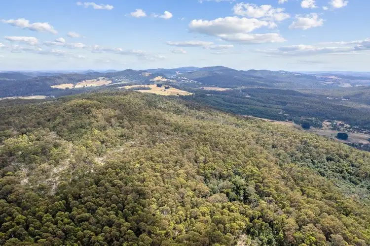 Fifth view of Homely rural property listing, 481 Priestleys Lane, Birralee TAS 7303