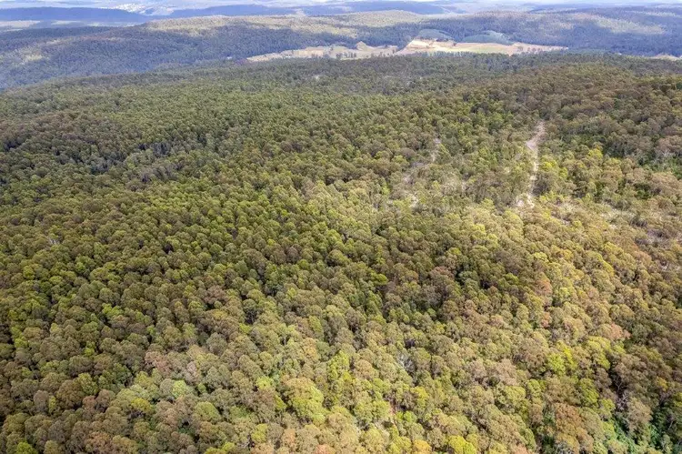 Sixth view of Homely rural property listing, 481 Priestleys Lane, Birralee TAS 7303