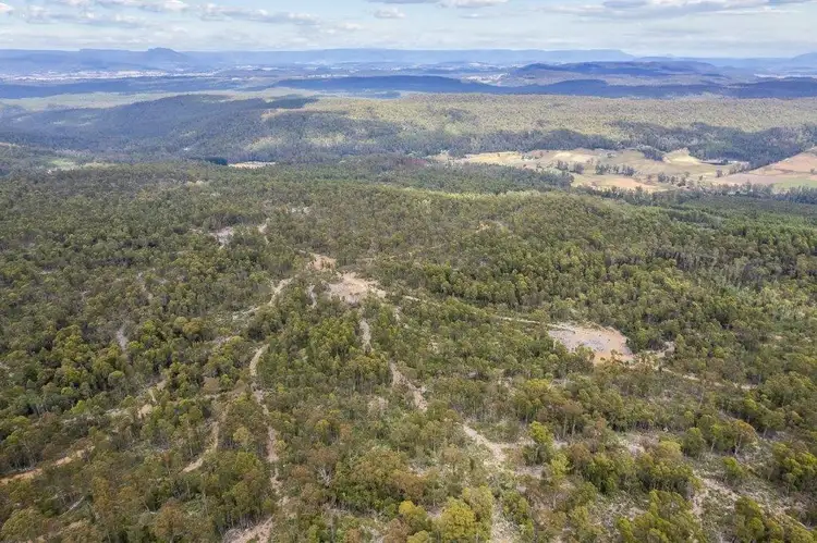 Seventh view of Homely rural property listing, 481 Priestleys Lane, Birralee TAS 7303