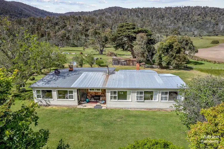 Third view of Homely rural property listing, 1328 Royal George Road, Royal George TAS 7213