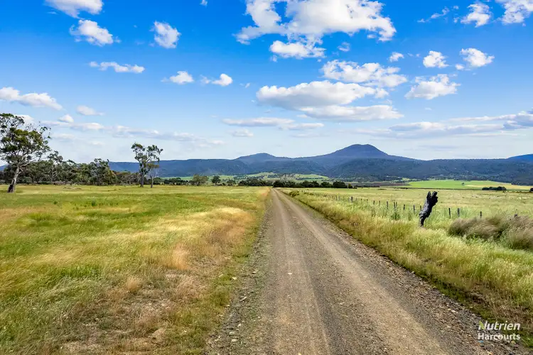 Fourth view of Homely rural property listing, 1328 Royal George Road, Royal George TAS 7213