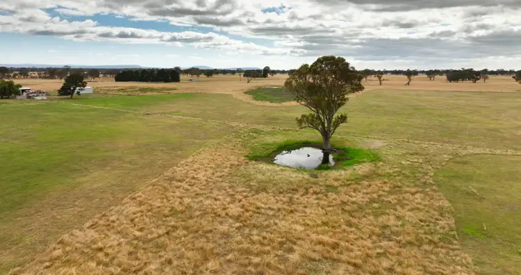 Sixth view of Homely rural property listing, 770 Fernbank Glenaladale Road, Fernbank VIC 3864