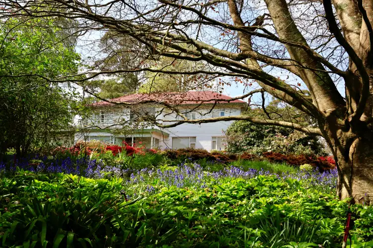 Third view of Homely rural property listing, 399 Ridgley Highway, Mooreville TAS 7321