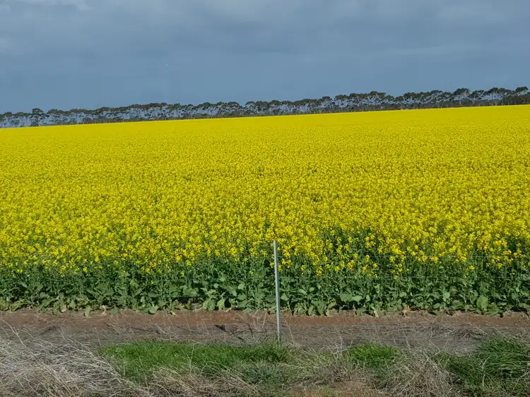 Fourth view of Homely rural property listing, 1091 Cascade Rd, Coomalbidgup WA 6450