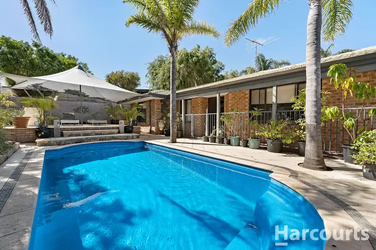 Second view of Homely house listing, 1 Hyacinth Place, Madora Bay WA 6210