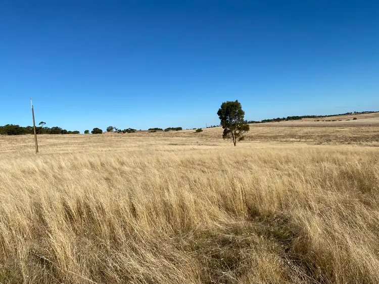 Second view of Homely rural property listing, Lot 270 Hill Rd, Alma SA 5401